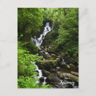 Torq Waterfall- Killarney Ireland Postcard