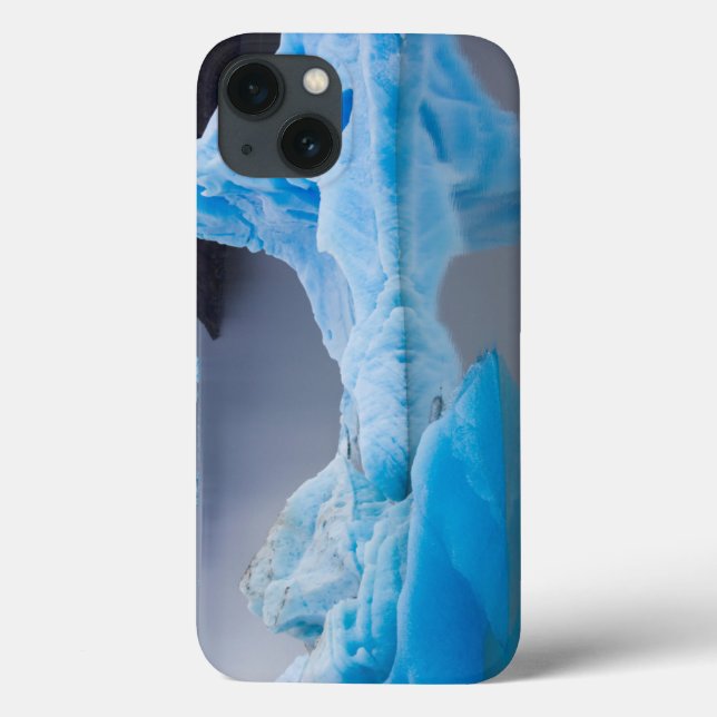 Torres del Paine National Park Case-Mate iPhone Case (Back)