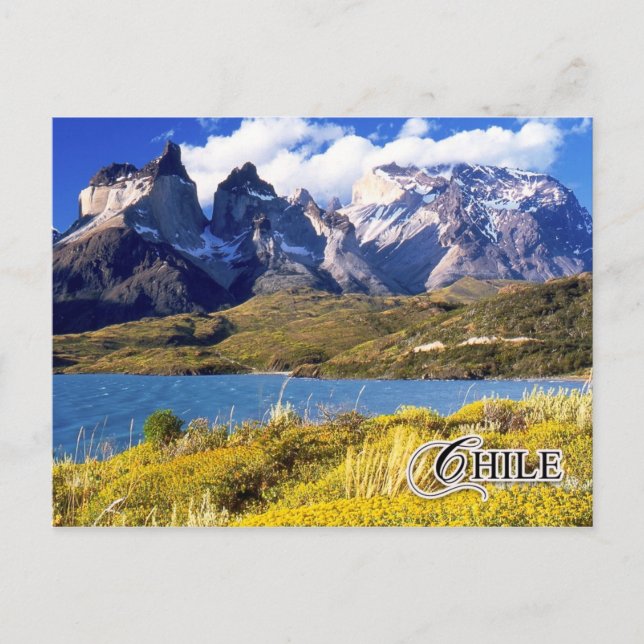 Torres del Paine National Park, Chile Postcard (Front)