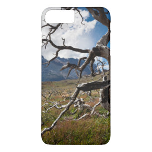 Torres del Paine National Park, fire damaged trees Case-Mate iPhone Case