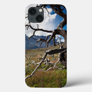 Torres del Paine National Park, fire damaged trees iPhone 13 Case