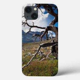 Torres del Paine National Park, fire damaged trees iPhone 13 Case