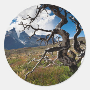 Torres del Paine National Park, fire damaged trees Classic Round Sticker