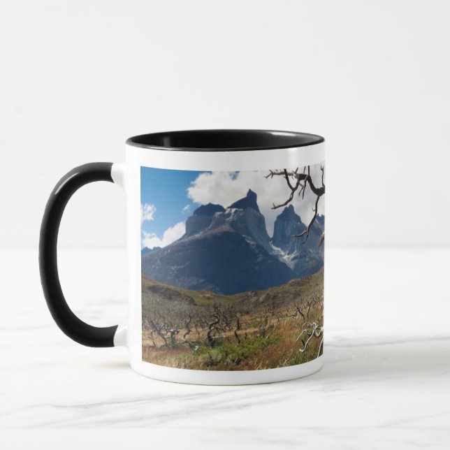 Torres del Paine National Park, fire damaged trees Mug (Left)