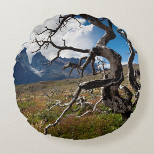 Torres del Paine National Park, fire damaged trees Round Cushion