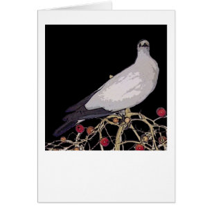 Torresian Imperial Pigeon card