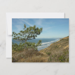 Torrey Pine and California Coastline Landscape Card