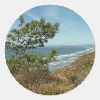 Torrey Pine and California Coastline Landscape Classic Round Sticker