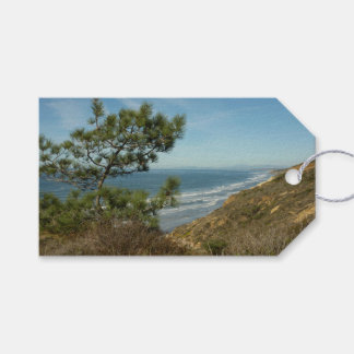 Torrey Pine and California Coastline Landscape Gift Tags