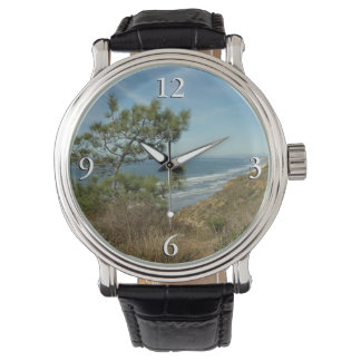 Torrey Pine and California Coastline Landscape Watch