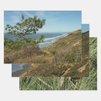 Torrey Pine and California Coastline Landscape Wrapping Paper Sheet