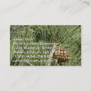 Torrey Pine Closeup California Botanical Business Card