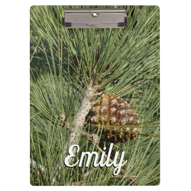 Torrey Pine Closeup California Botanical Clipboard (Front)