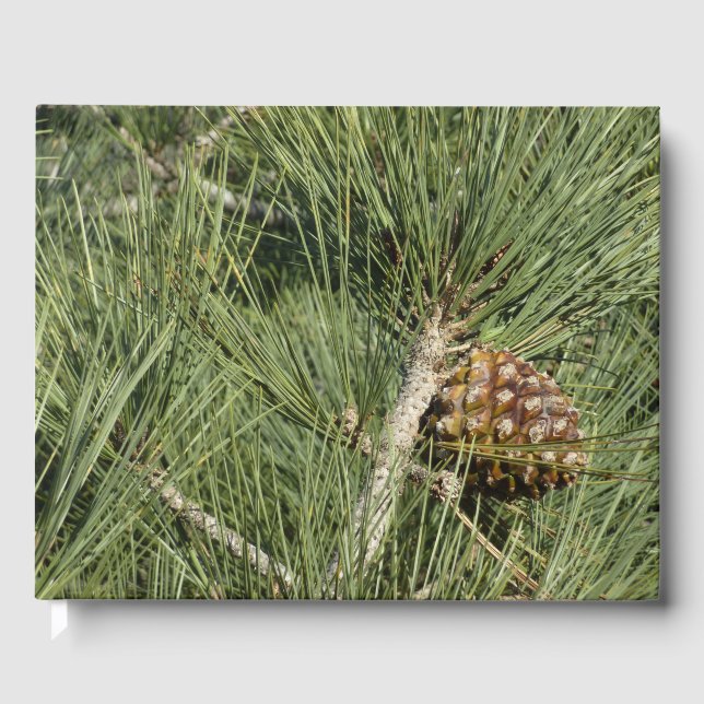 Torrey Pine Closeup California Botanical Guest Book (Front)