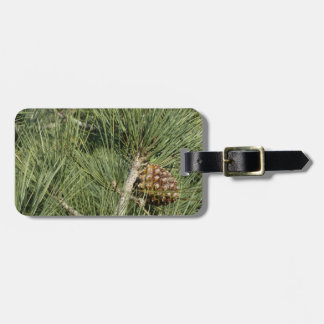 Torrey Pine Closeup California Botanical Luggage Tag