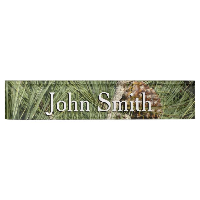 Torrey Pine Closeup California Botanical Nameplate (Front)