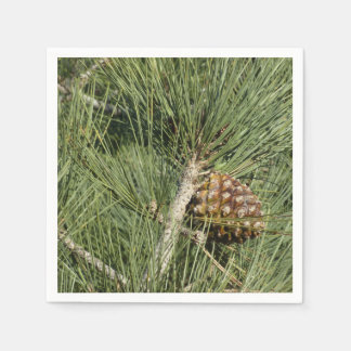 Torrey Pine Closeup California Botanical Napkin