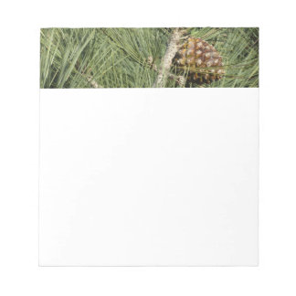 Torrey Pine Closeup California Botanical Notepad