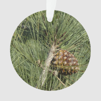 Torrey Pine Closeup California Botanical Ornament