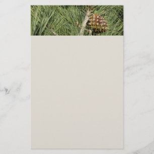 Torrey Pine Closeup California Botanical Stationery