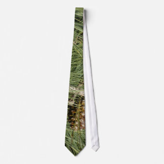 Torrey Pine Closeup California Botanical Tie