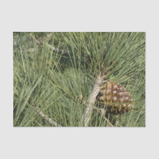 Torrey Pine Closeup California Botanical Tissue Paper