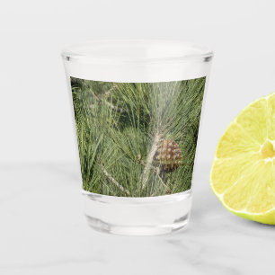 Torrey Pine Closeup Shot Glass