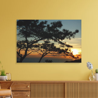 Torrey Pine Sunset I California Landscape Canvas Print