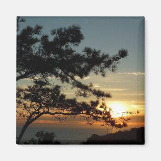 Torrey Pine Sunset I California Landscape Magnet