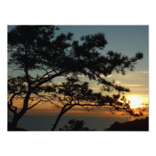 Torrey Pine Sunset I California Landscape Photo Print