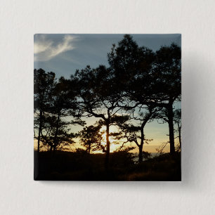 Torrey Pine Sunset II California Landscape 15 Cm Square Badge