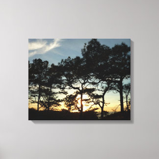 Torrey Pine Sunset II California Landscape Canvas Print