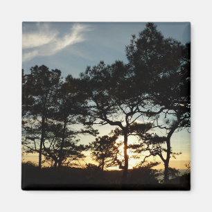 Torrey Pine Sunset II California Landscape Magnet