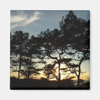 Torrey Pine Sunset II California Landscape Magnet