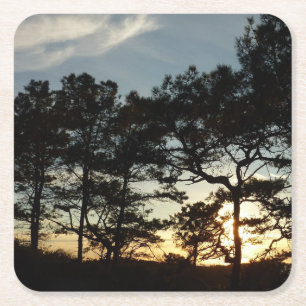 Torrey Pine Sunset II California Landscape Square Paper Coaster