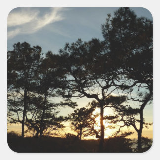 Torrey Pine Sunset II California Landscape Square Sticker