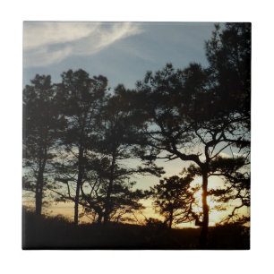 Torrey Pine Sunset II California Landscape Tile