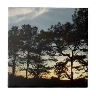 Torrey Pine Sunset II California Landscape Tile