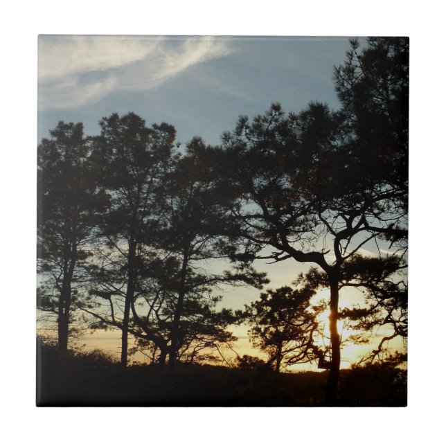 Torrey Pine Sunset II California Landscape Tile (Front)