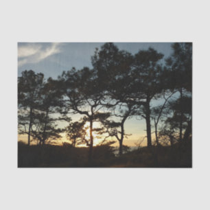 Torrey Pine Sunset II California Landscape Tissue Paper