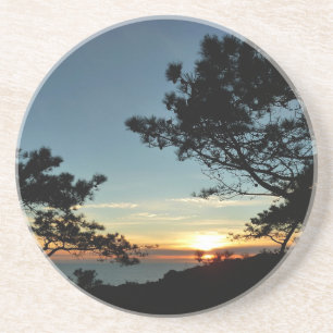 Torrey Pine Sunset III California Landscape Coaster