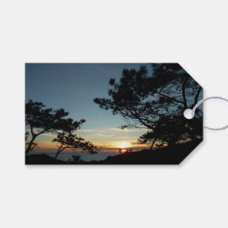 Torrey Pine Sunset III California Landscape Gift Tags
