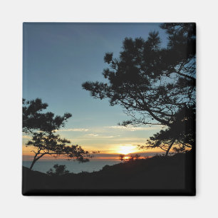 Torrey Pine Sunset III California Landscape Magnet