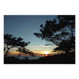 Torrey Pine Sunset III California Landscape Photo Print