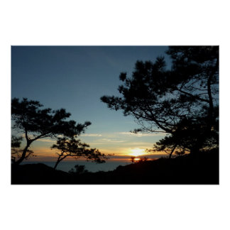 Torrey Pine Sunset III California Landscape Poster