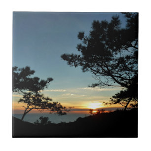 Torrey Pine Sunset III California Landscape Tile