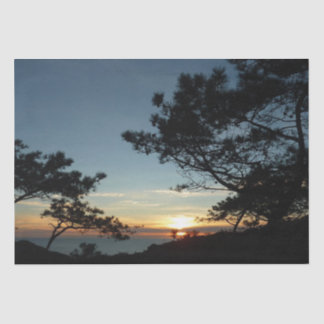 Torrey Pine Sunset III California Landscape Tissue Paper