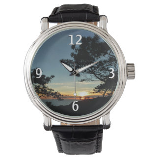 Torrey Pine Sunset III California Landscape Watch