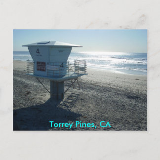 Torrey Pines, CA Postcard