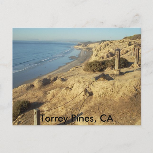 Torrey Pines, CA Postcard (Front)